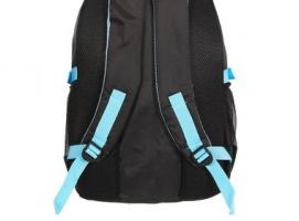 Рюкзак туристический Тони, 2 отдела, 3 наружных кармана, усиленная спинка, объём - 22л, чёрный/голубой